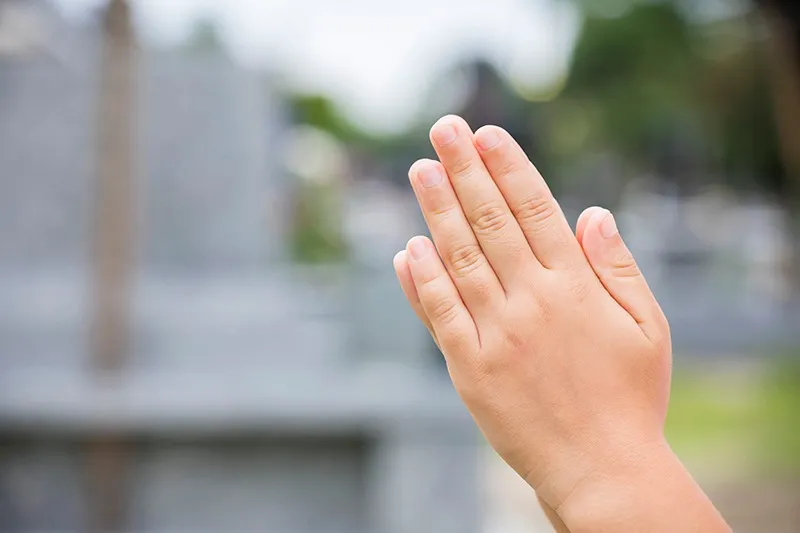 ペット火葬を寺院で行うには？提携寺院での心安らぐお見送りと読経のご案内