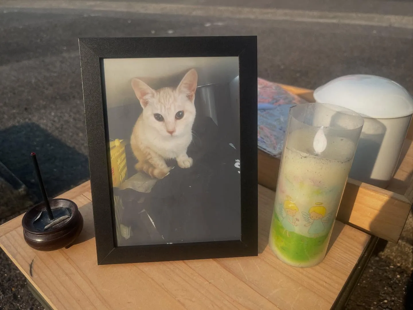 みるくちゃんをご家族でお見送り🐱