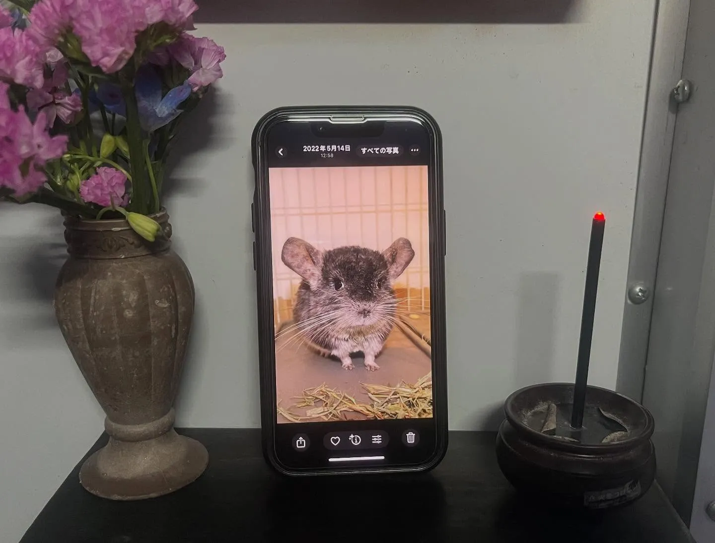 チンチラちゃんのご火葬を執り行いました【中川区】