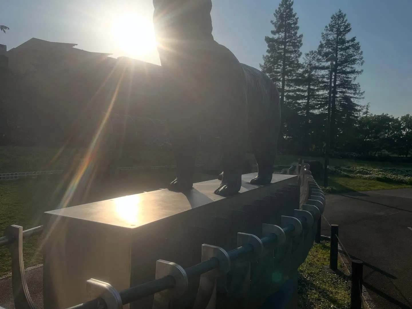 刈谷市でのペット火葬で立ち寄ったミササガパーク