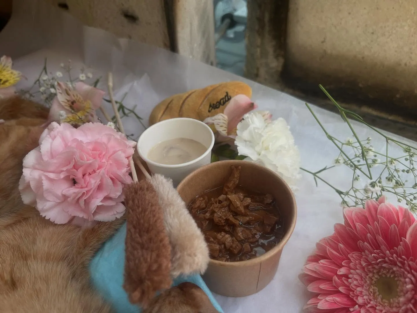 最後に好きだったおもちゃと一緒に！【中川区】ペット火葬