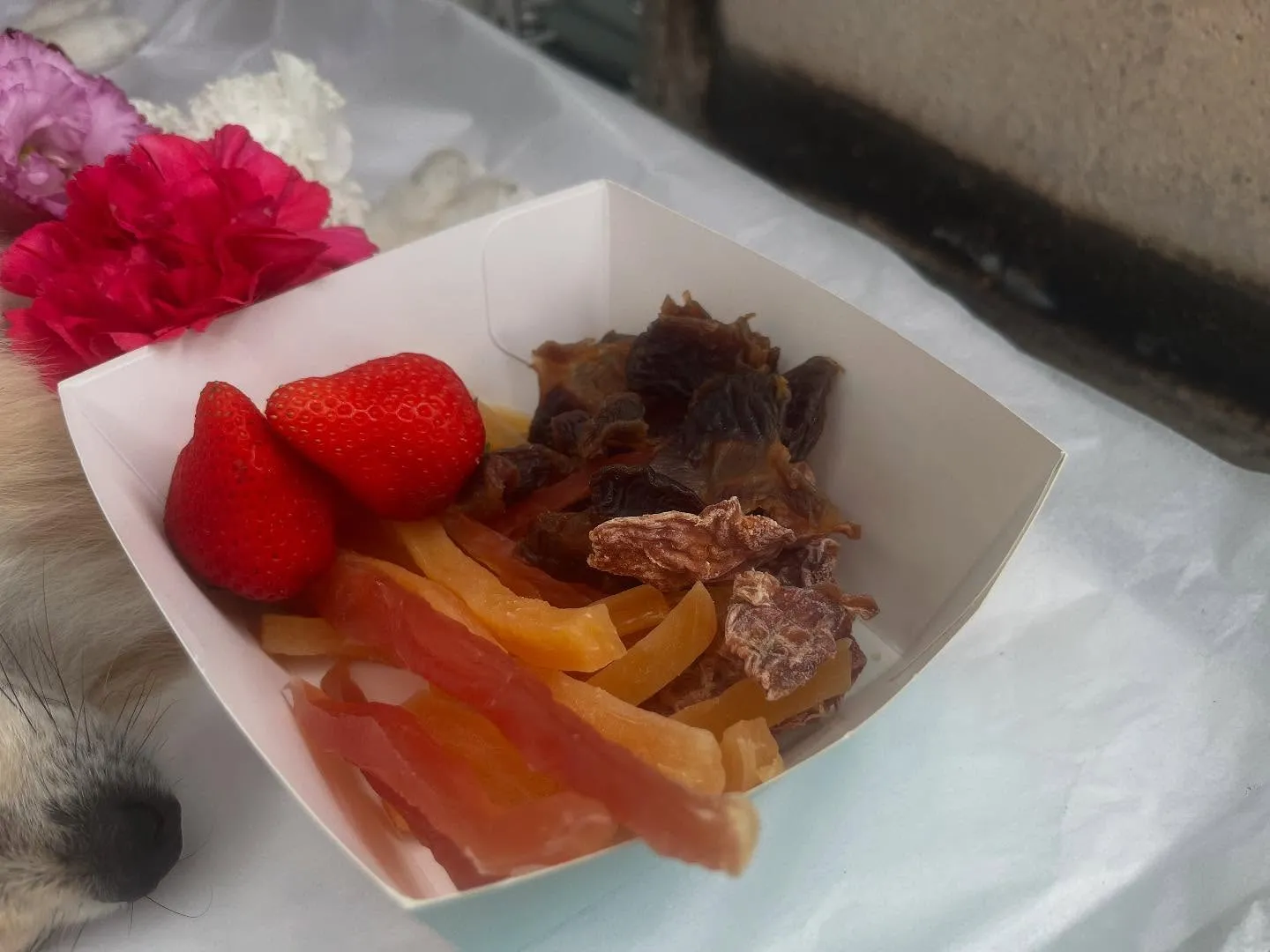 ポメラニアンちゃんのペット火葬【大治町】