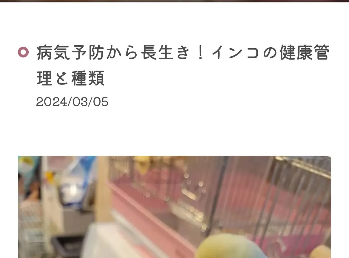 友人のセキセイインコ🦜の火葬を執り行いました。