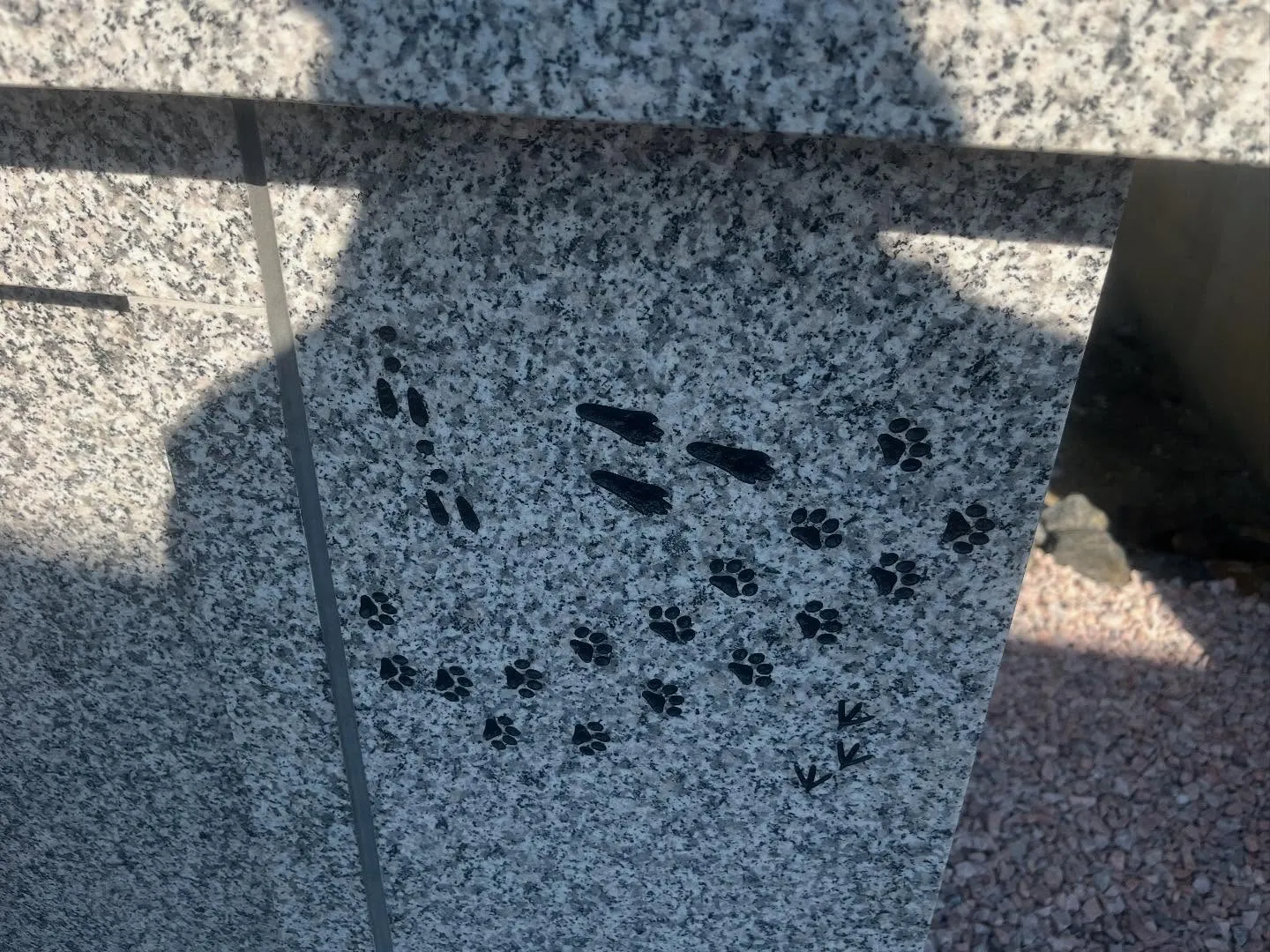 ペットの遺骨を協力寺院に埋葬いたしました🪦一宮市【瑞仁寺】