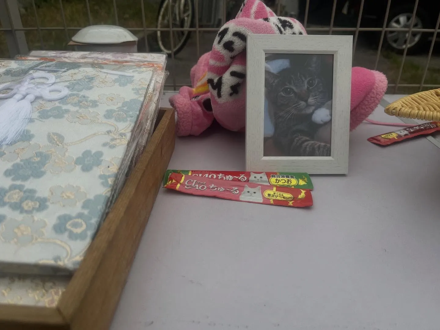 YouTuber猫ちゃんの元気ちゃんのご火葬。