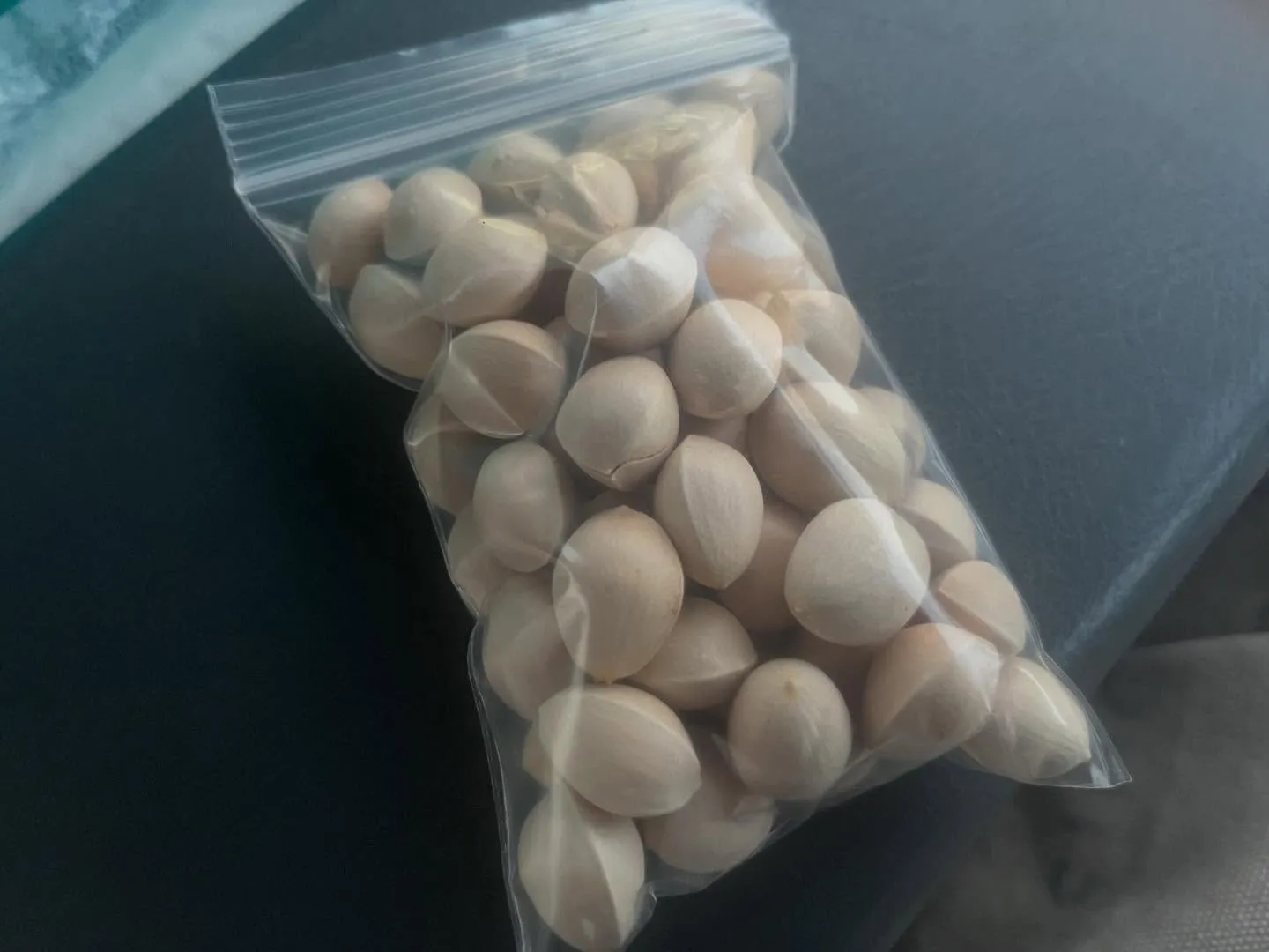 ペットの遺骨を協力寺院に埋葬いたしました（12月）一宮市【瑞...