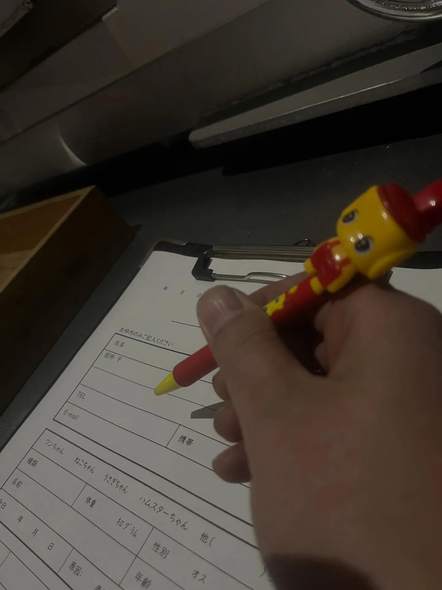 体感温度-5℃のペット火葬。