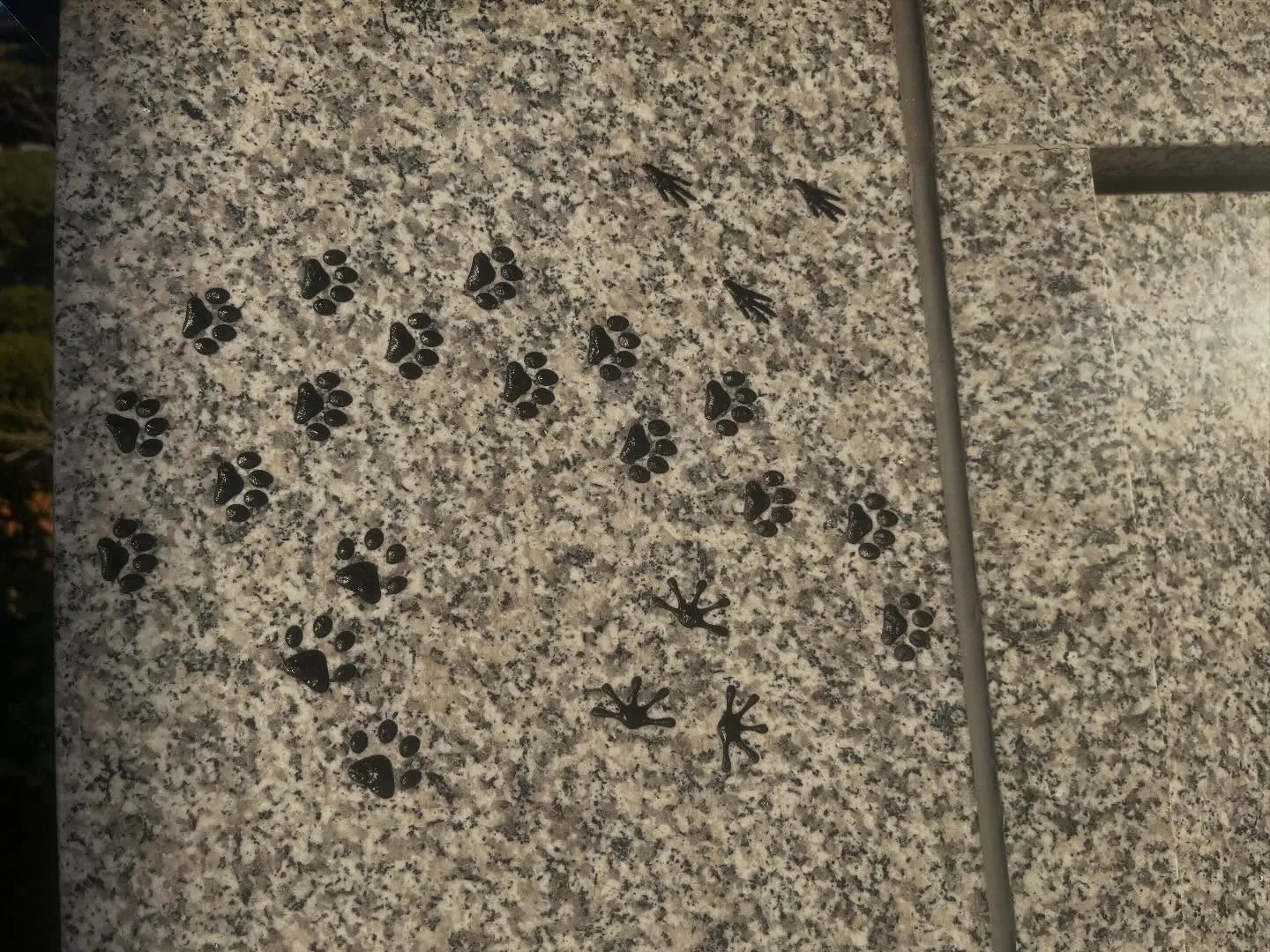 ペットの遺骨を協力寺院に埋葬いたしました（1月）一宮市【瑞仁...