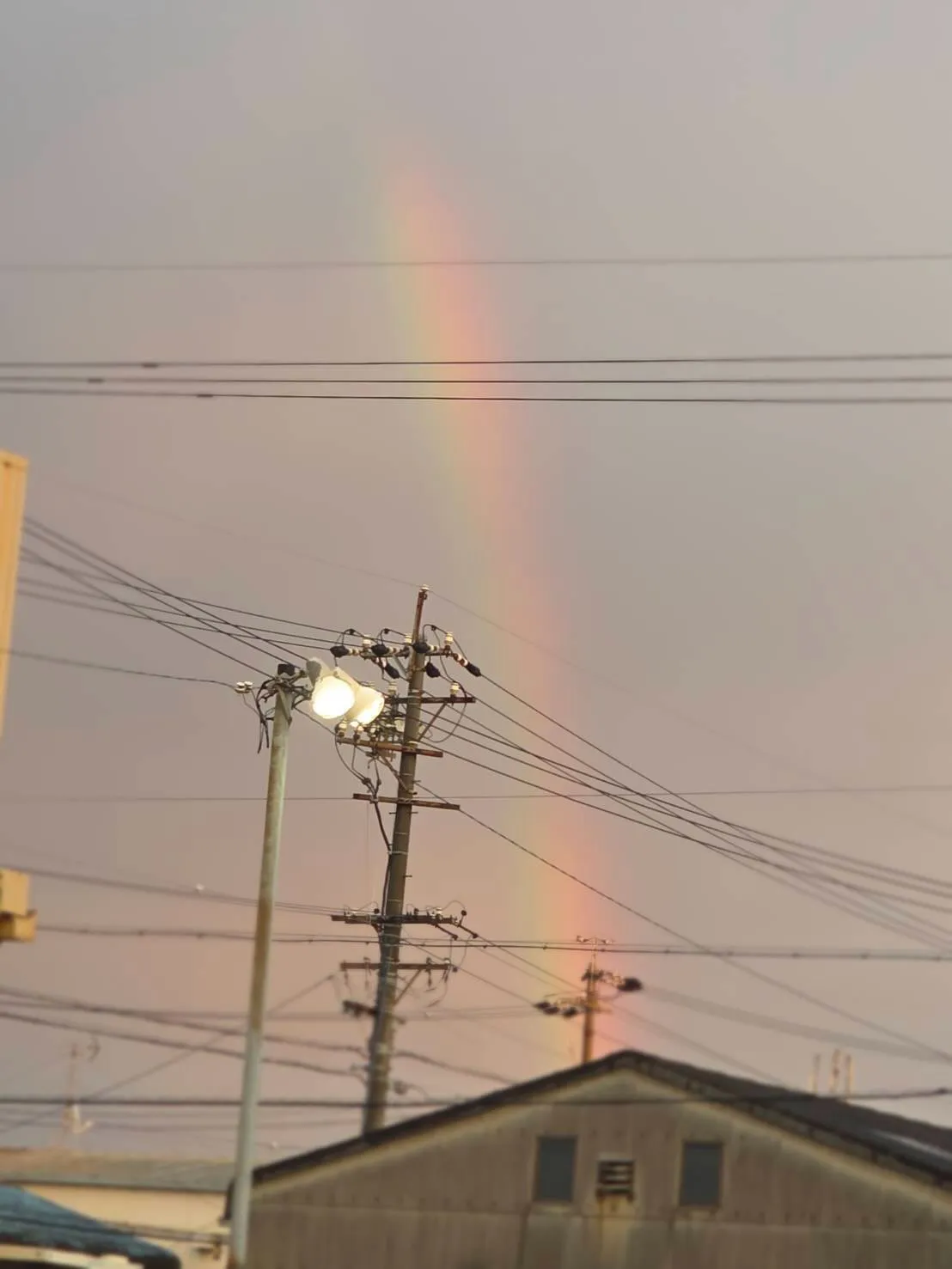 虹🌈久々にみました。