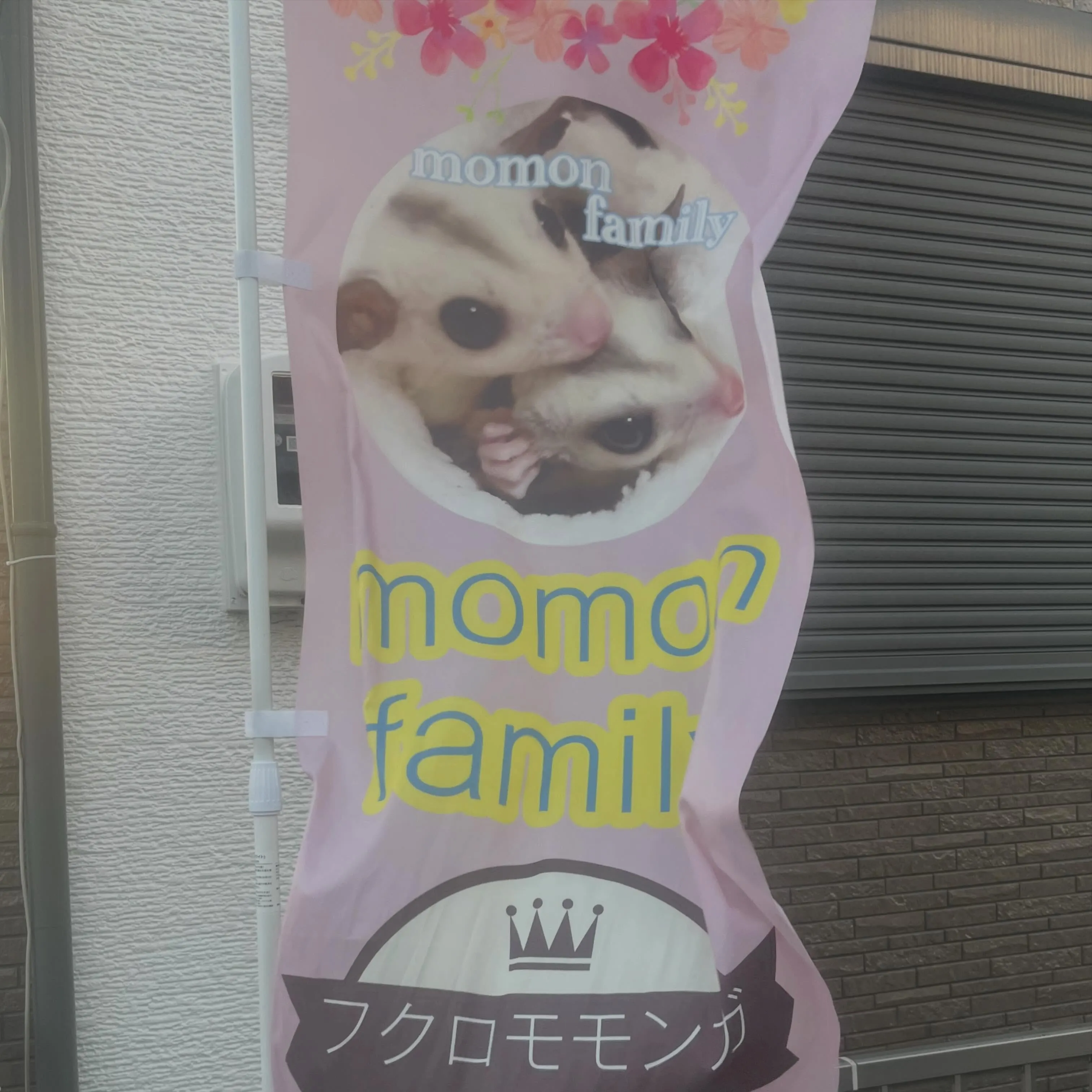 中川区にあるフクロモモンガブリーダーさんのご紹介
