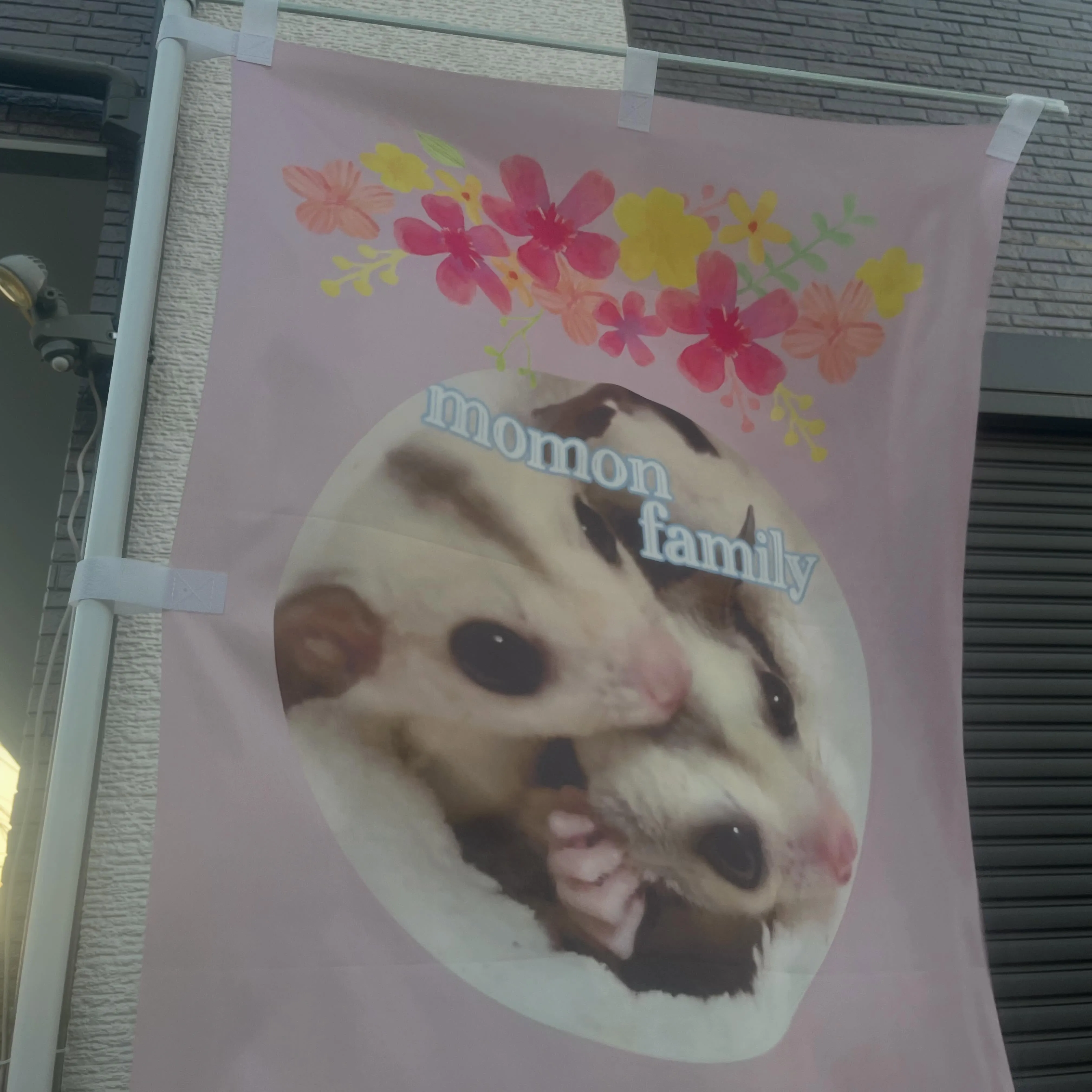 中川区にあるフクロモモンガブリーダーさんのご紹介