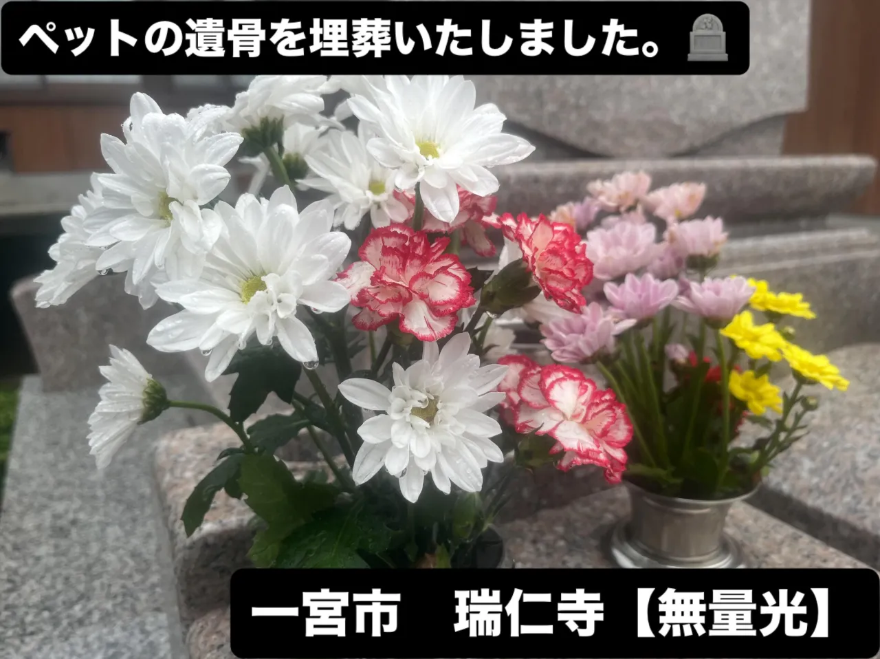 今月は雨ばかりの天候で、名古屋では記録的豪雨で冠水や、車両の...