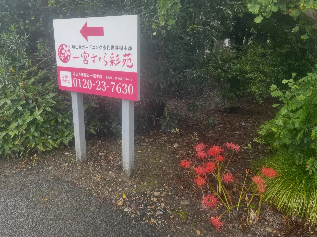 今月は雨ばかりの天候で、名古屋では記録的豪雨で冠水や、車両の...