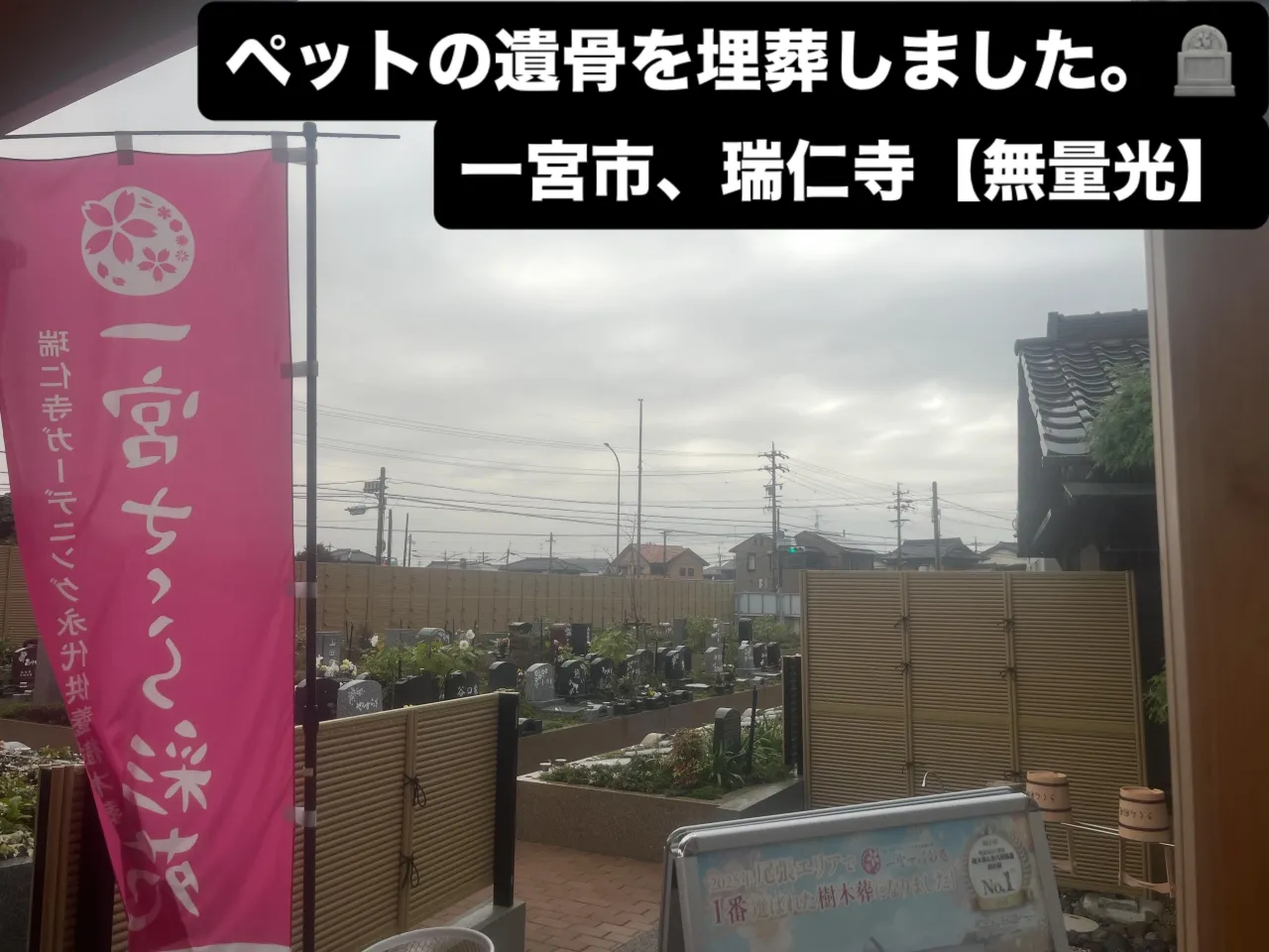 ペットの遺骨を協力寺院に埋葬いたしました（10月）一宮市【瑞...