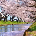 岩倉市　トップ